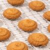 Dalchini Blondie - Image 3